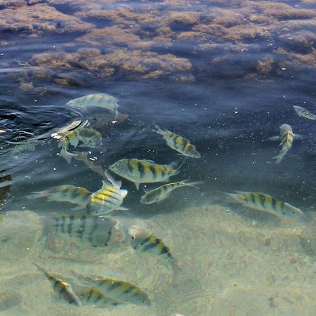 Pousada Casanossa Boipeba Island Kültér fotó