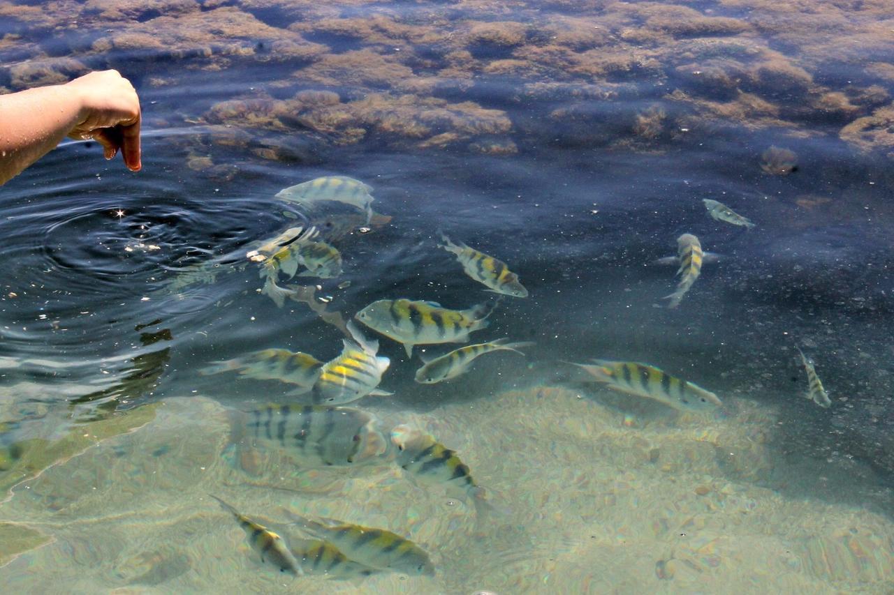 Pousada Casanossa Boipeba Island Kültér fotó